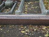 image of grave number 199118